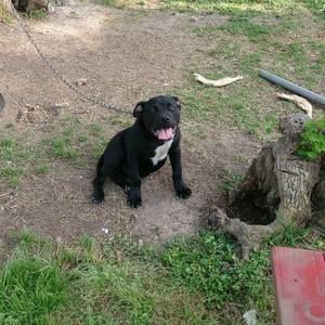 Meet your Posher, Jorge